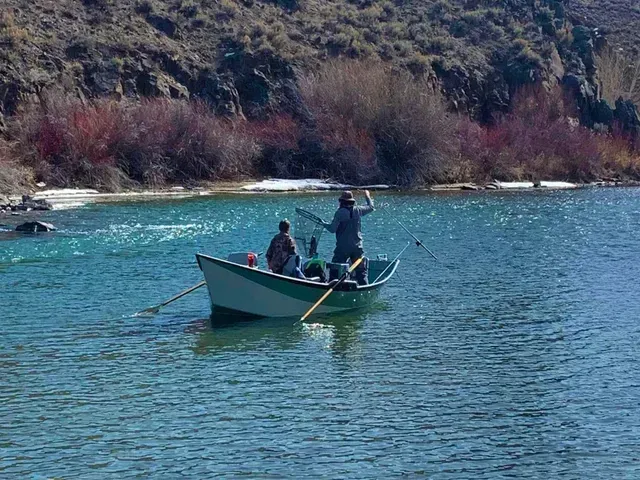 Guided Fishing Trips