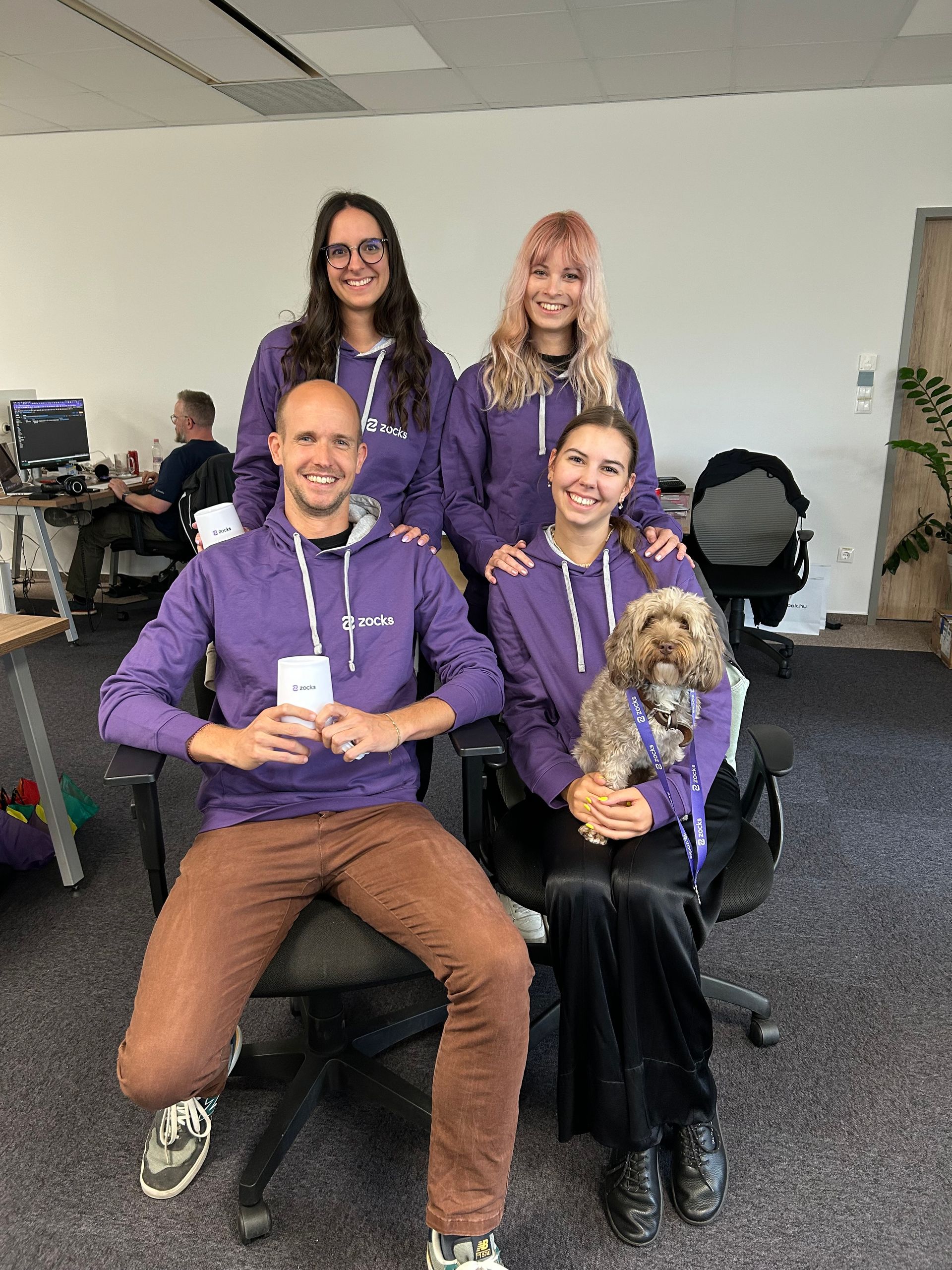 Zocks AI Assistant employee reviews