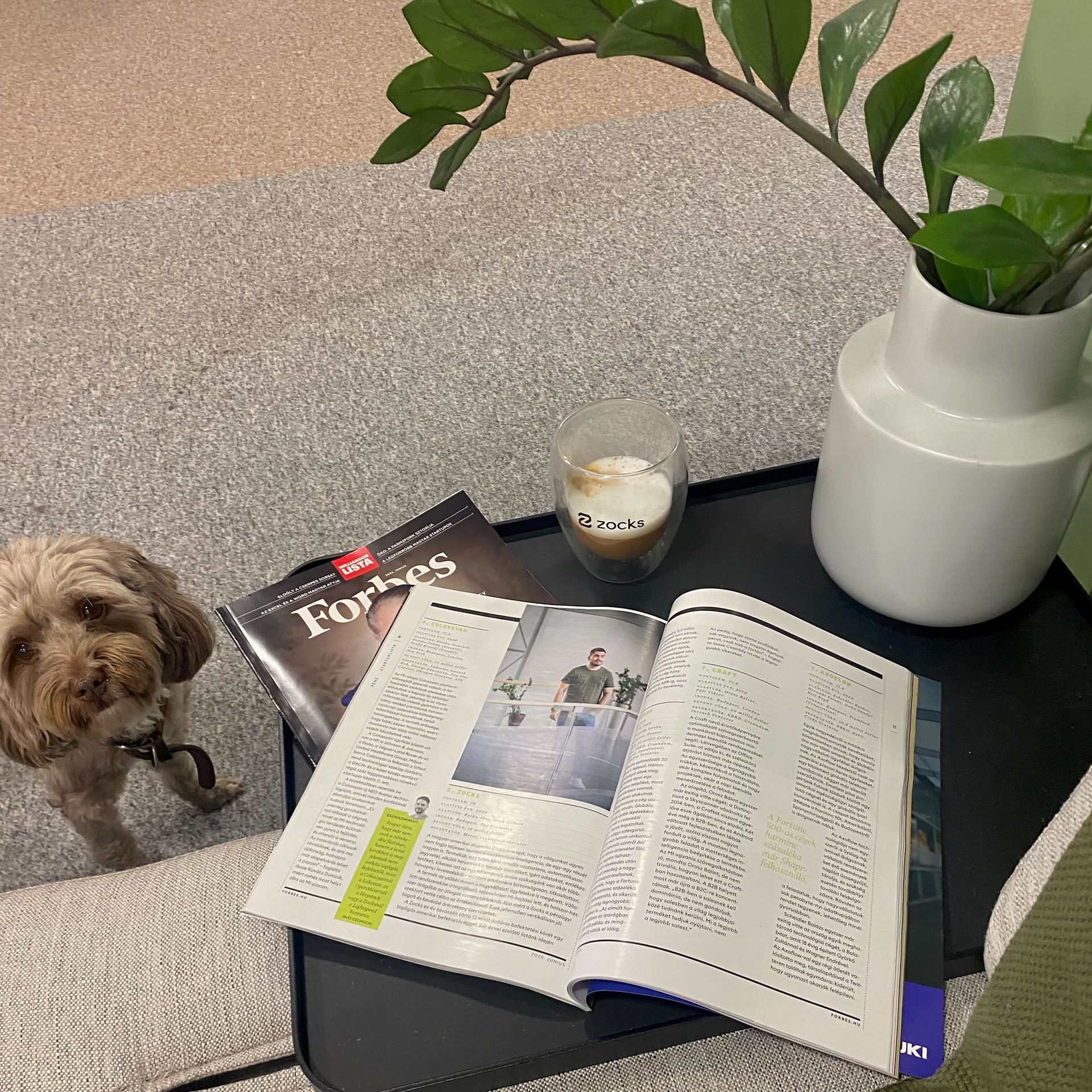 Zocks AI Assistant employee reviews