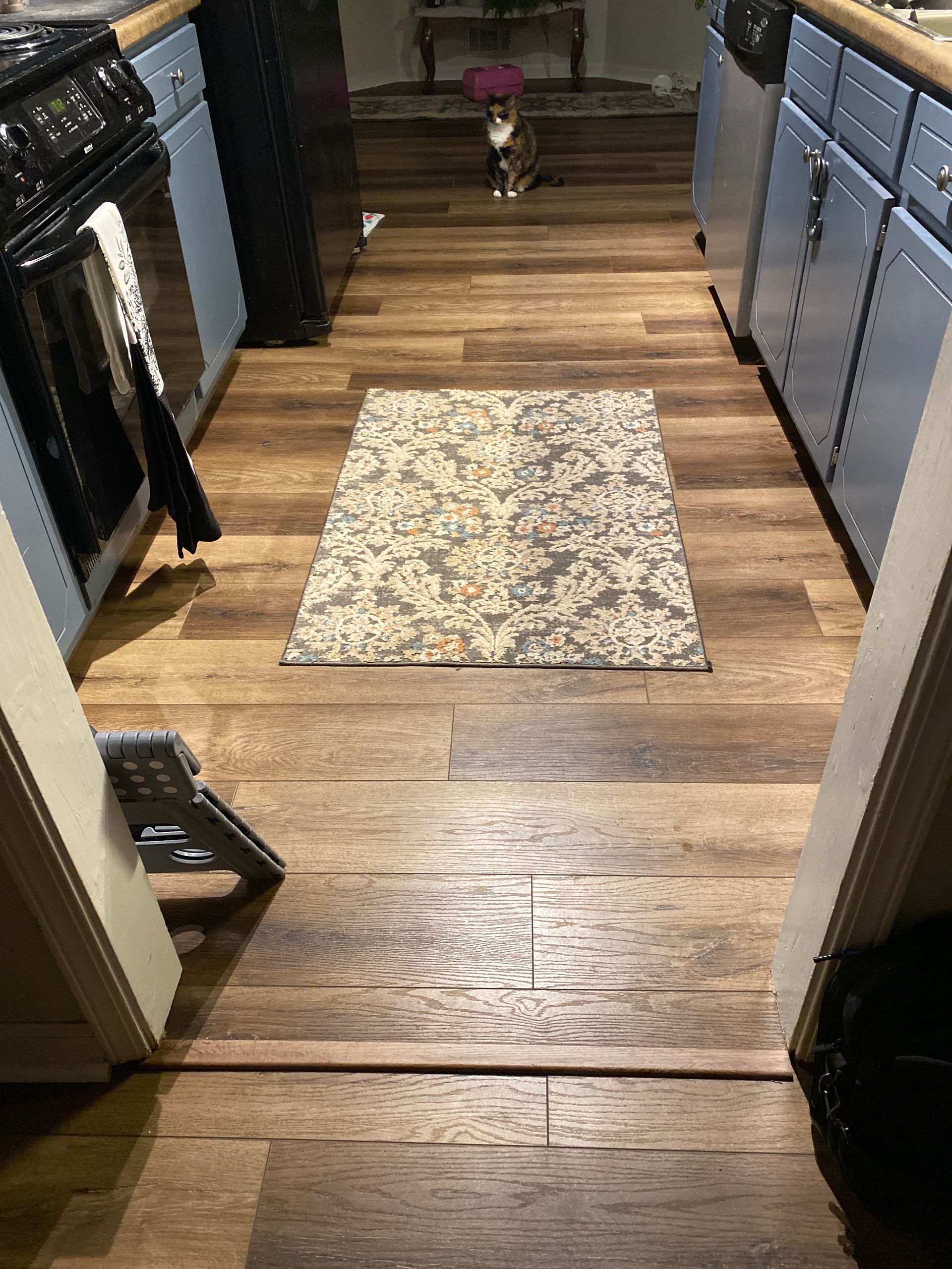 A cat is standing in the middle of a kitchen with a rug on the floor.