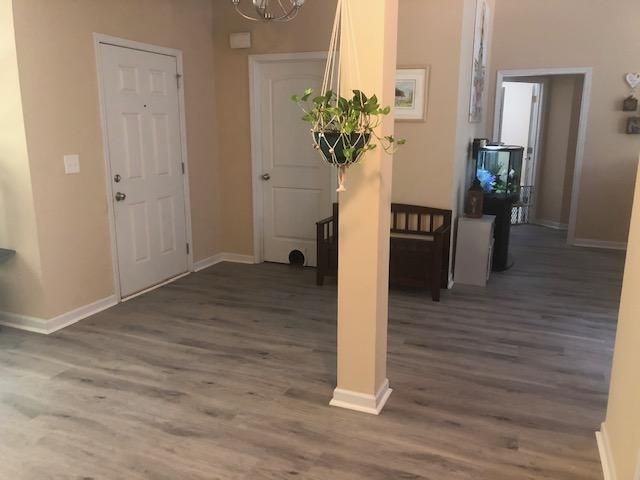 A living room with hardwood floors and a hanging potted plant