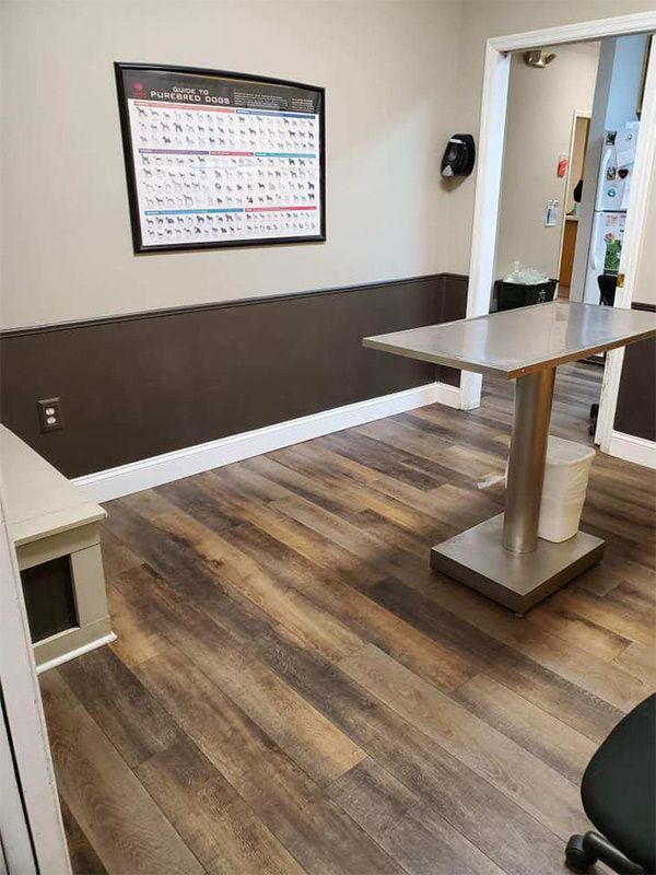A veterinary office with a table and a chair.