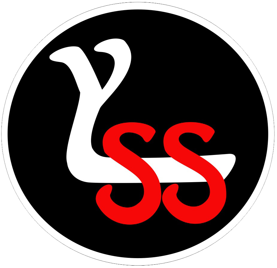 Young Lock & Safe Services
