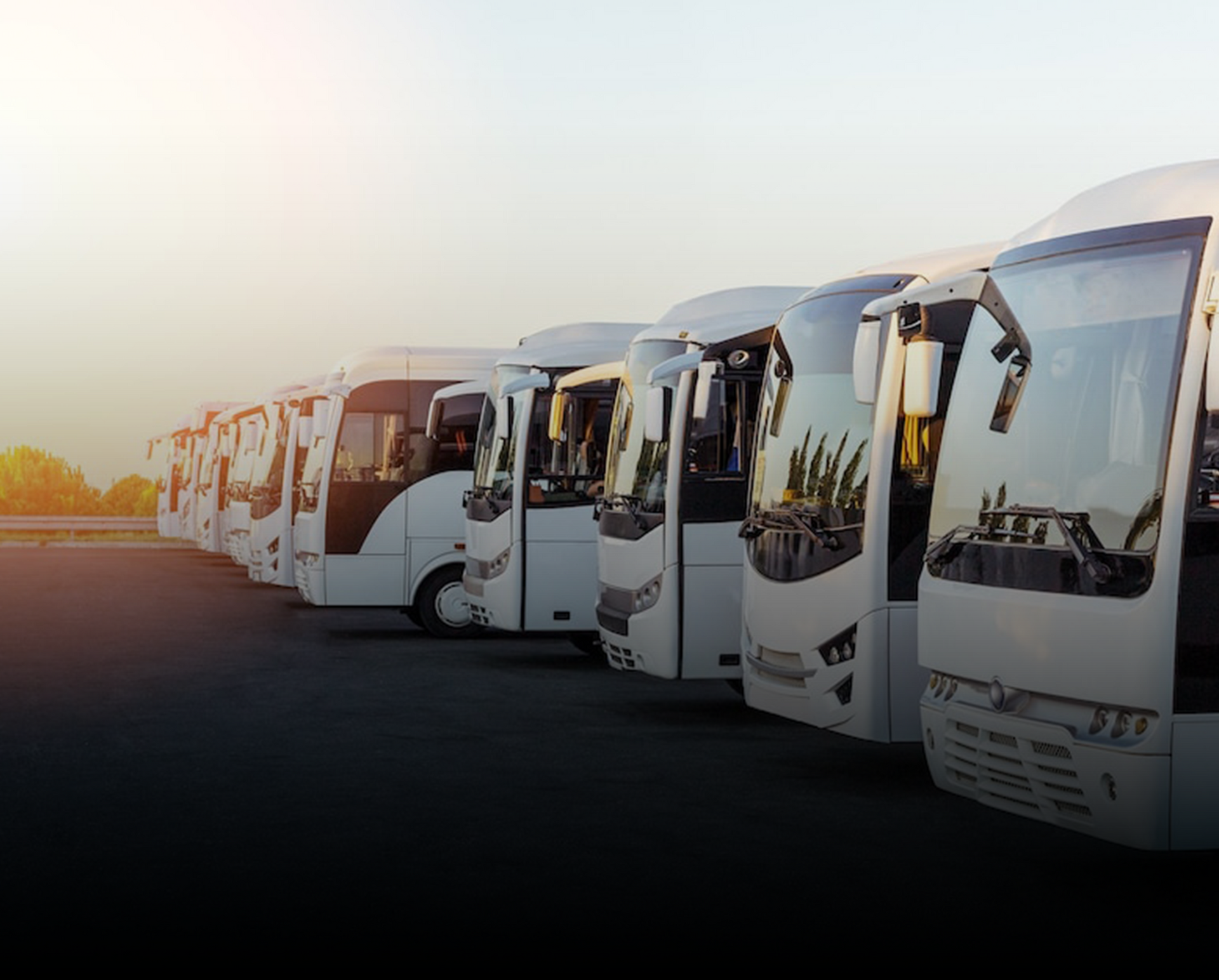 一排巴士停在停車場。