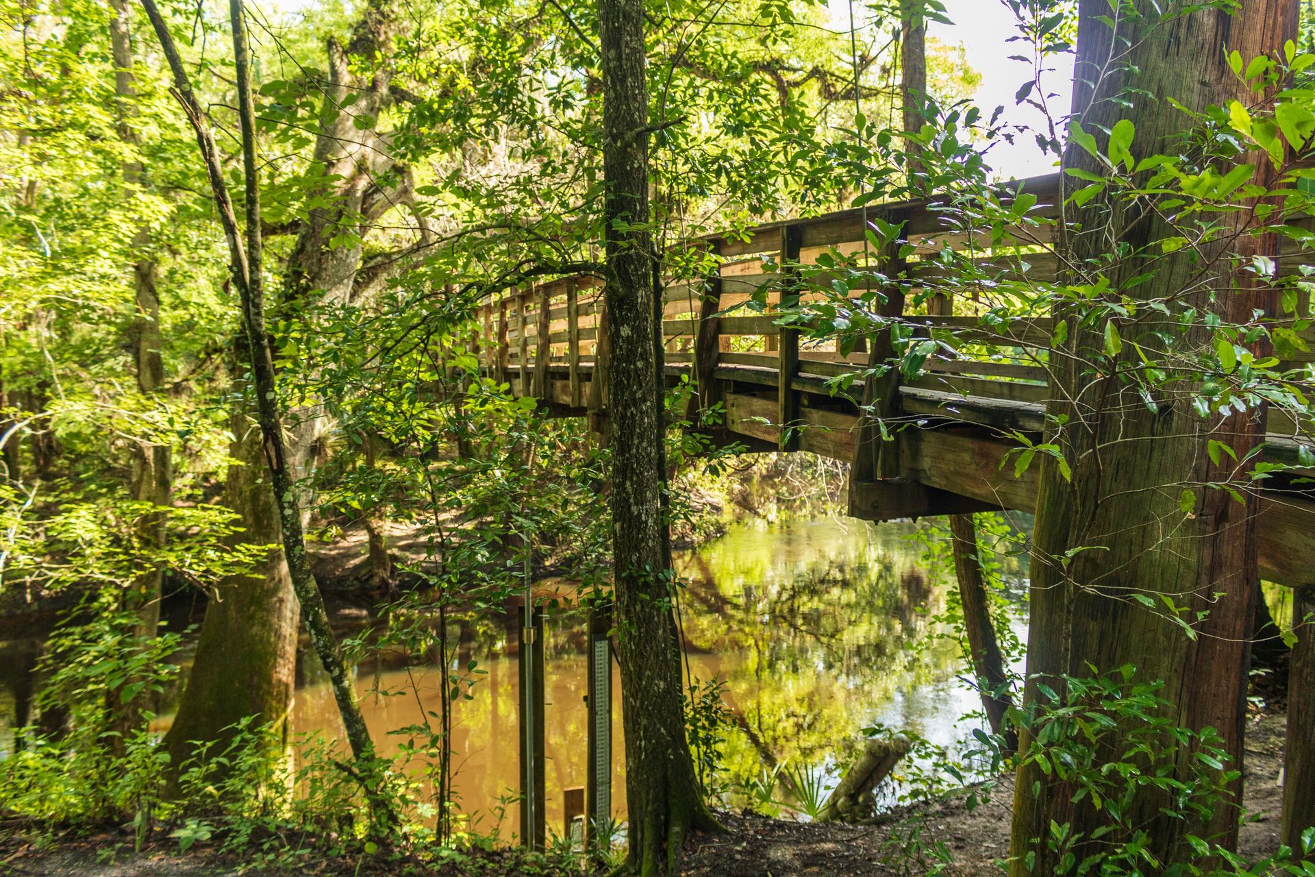 A wooden bridge over a body of water in the woods.