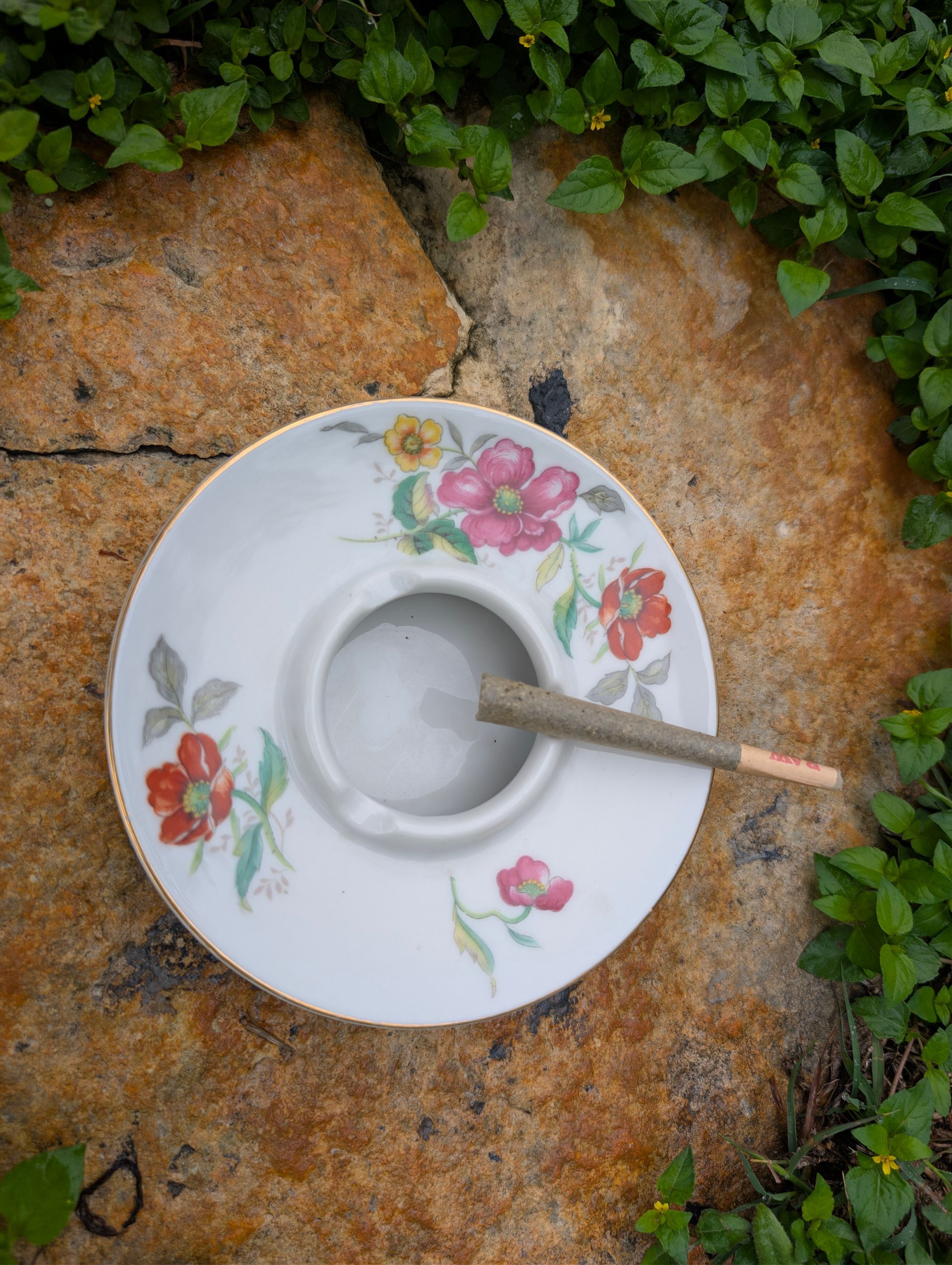 Floral porcelain saucer on a rock with a small spoon, beside green ground cover plants.