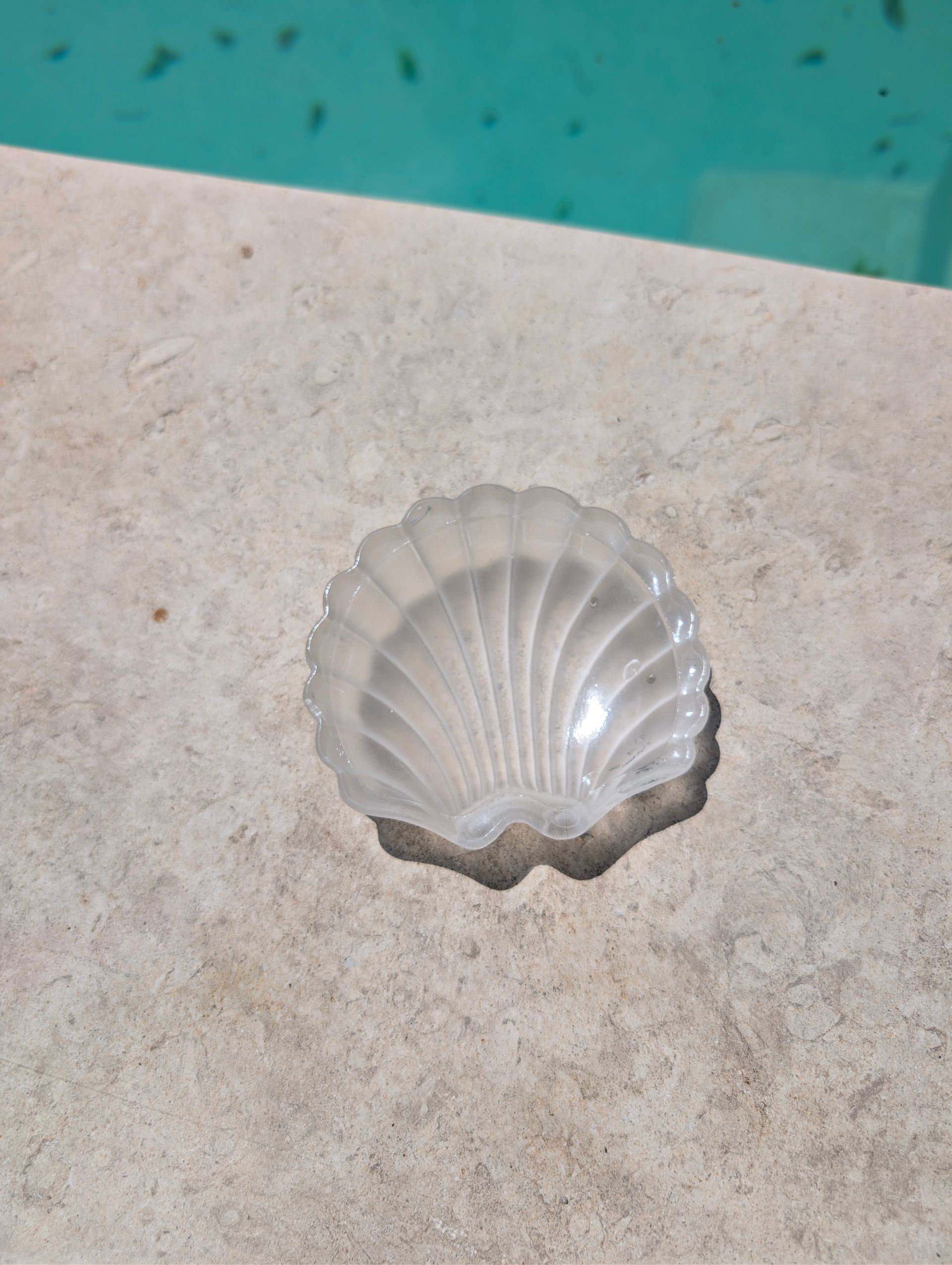 Small white scallop-shaped shell on a beige stone surface near blue water.