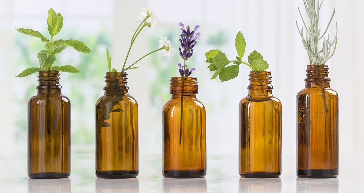 Five amber glass bottles holding plants, arranged in a row against a soft-focus background.