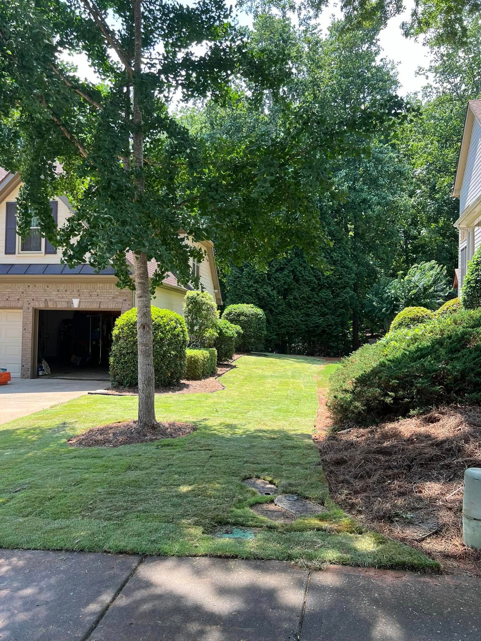Residential front yard with trees, green lawn, driveway, and a house on the left.