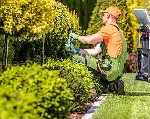 Gardener Trimming Plants | Eastlake, OH | Willoscape Landscape Management