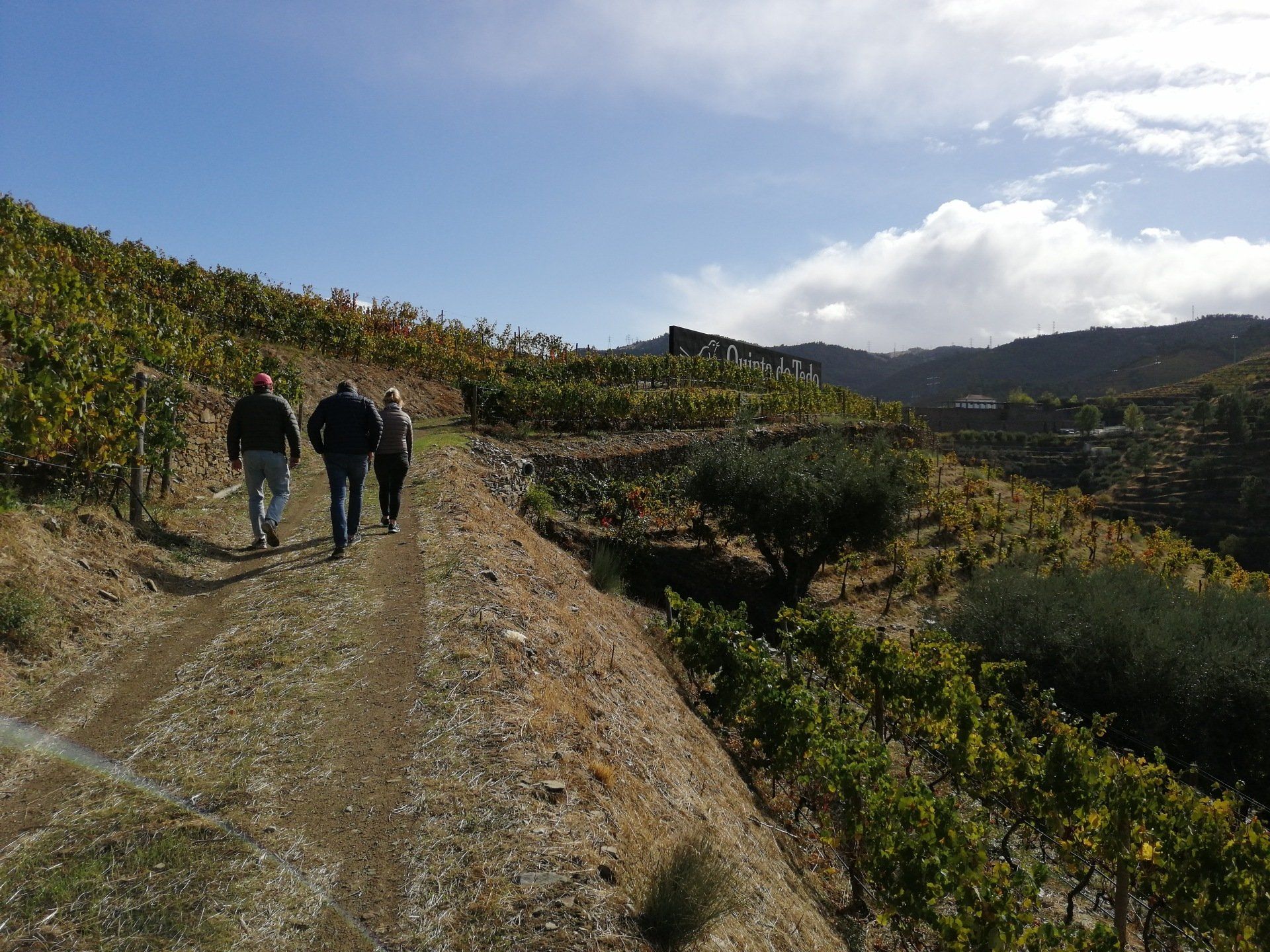 Wandelen en Fietsen in de dalen van de Douro