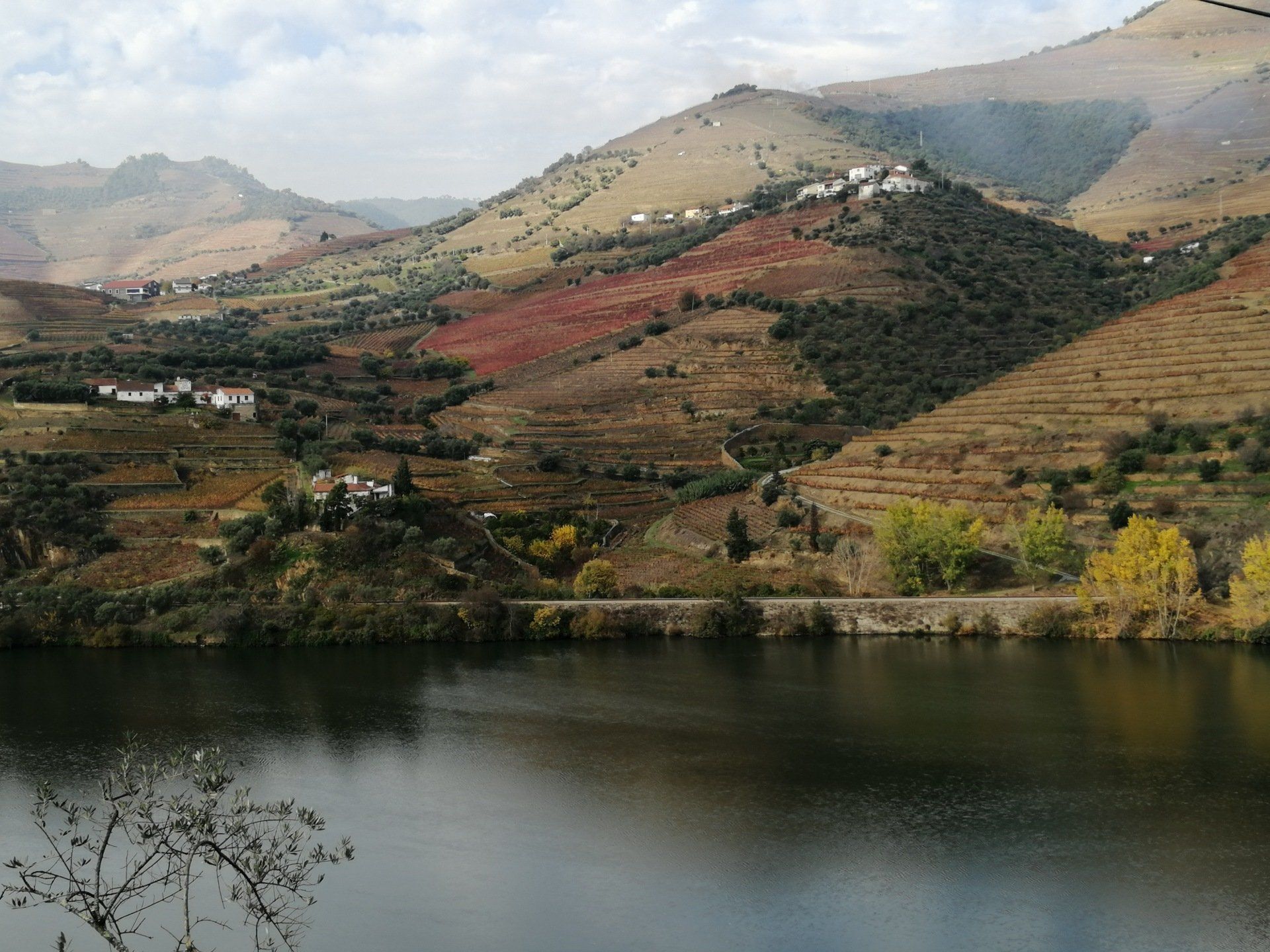 Provesende Omgeving met Douro rivier en Pinhão