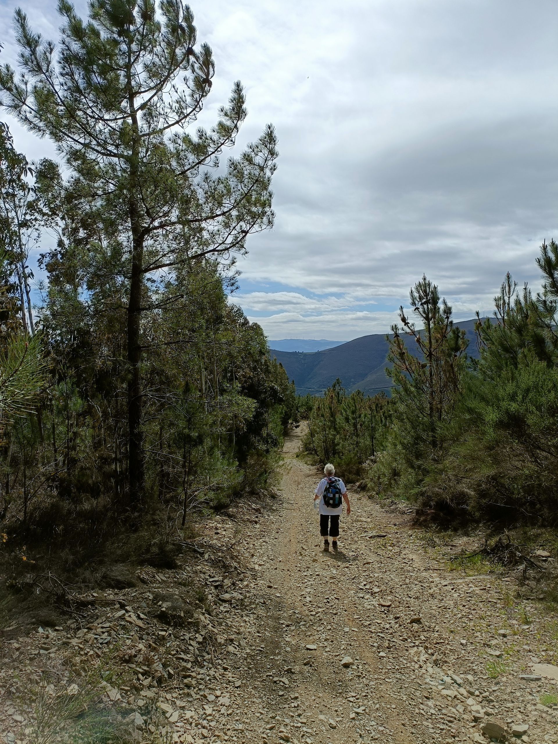 Wandeling Sao Domingos Provesende