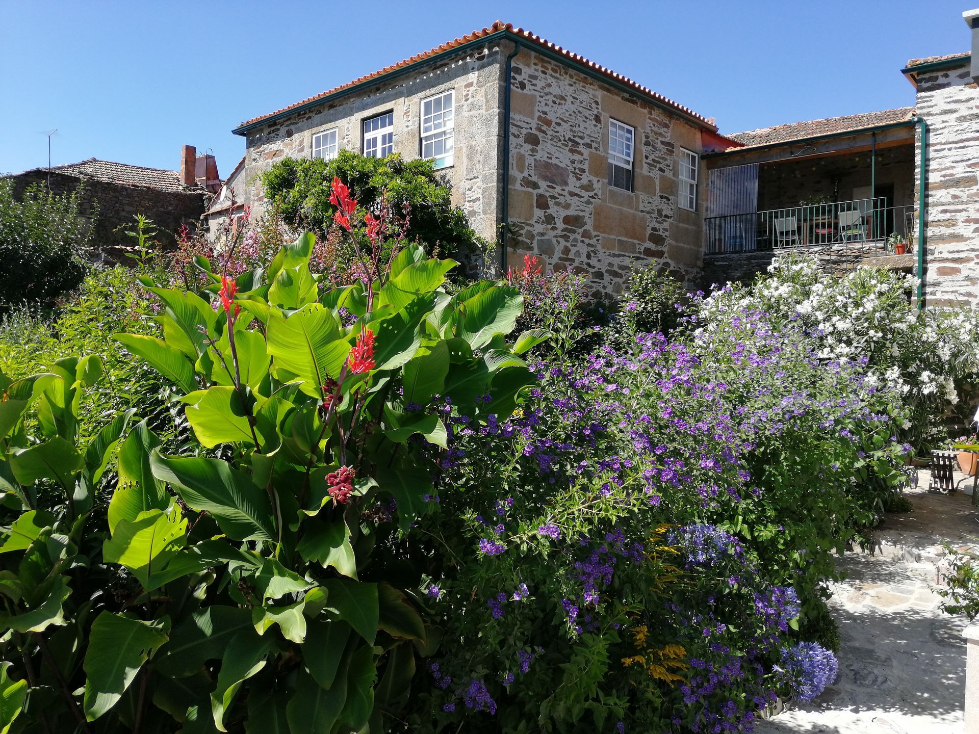 Mesão Provesende, Het Huis