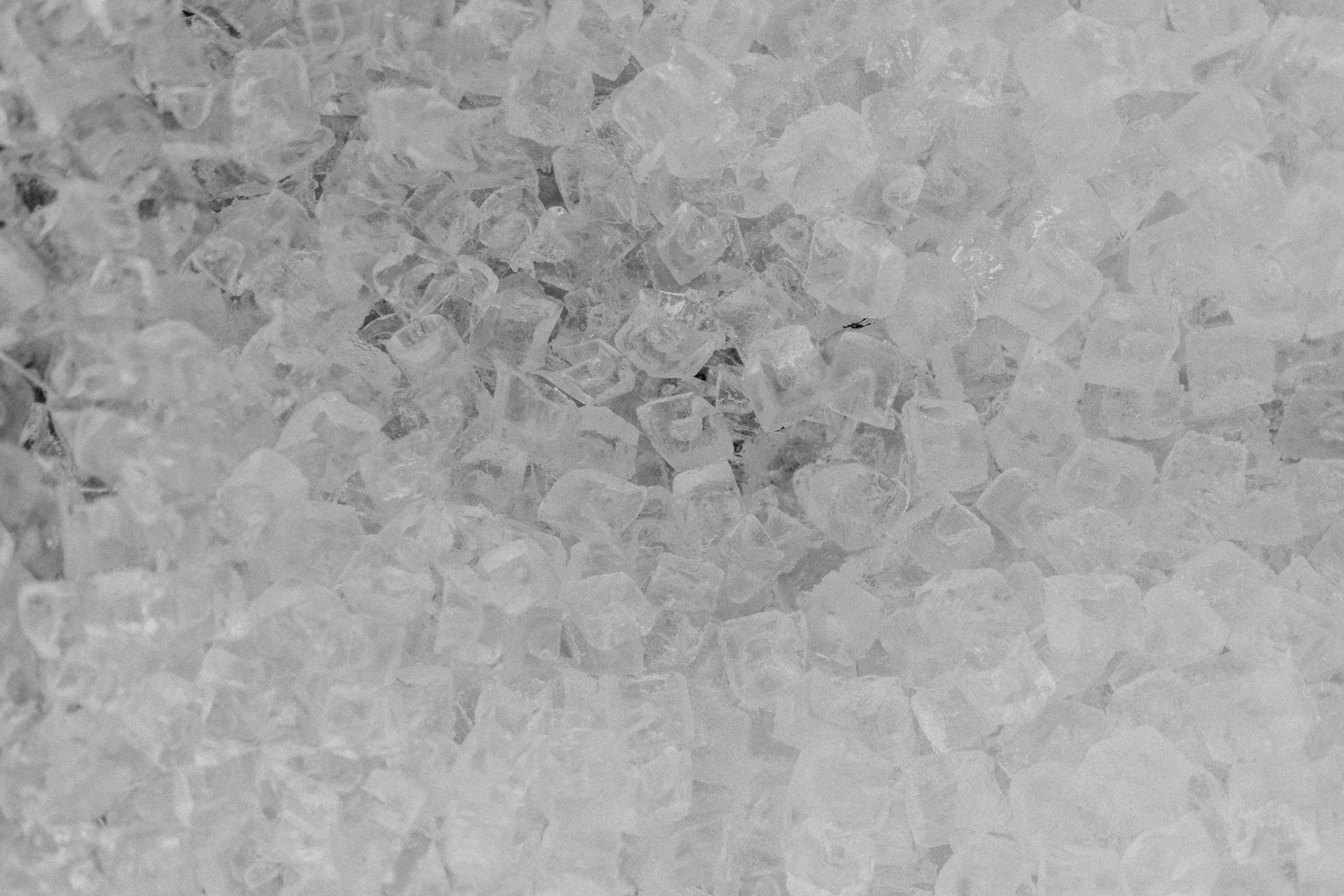 Lots of ice cubes
