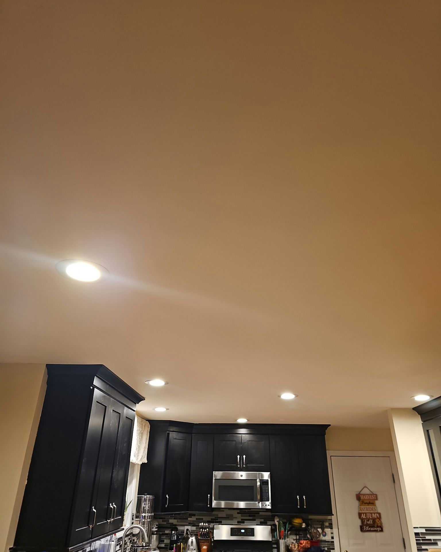 Kitchen with black cabinets, stainless steel appliances, and recessed ceiling lights.