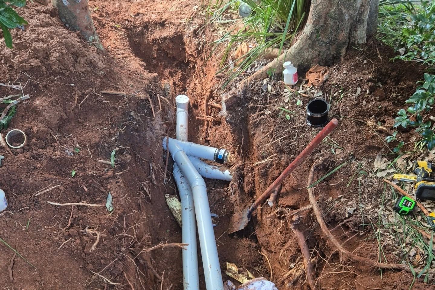 Water Pipes Under The Tree Roots