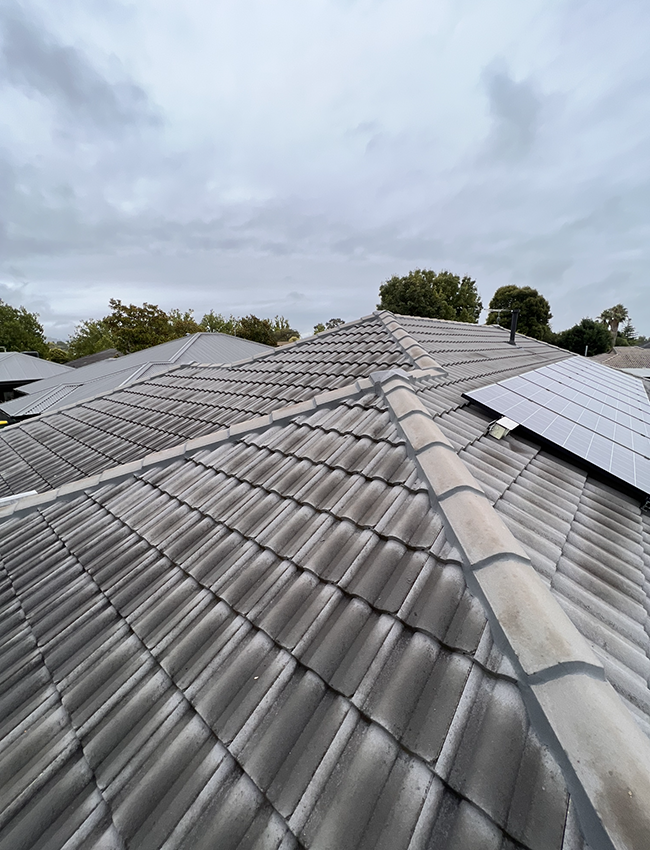 A Roof with a Lot of Tiles and Solar Panels on It — Boss Roof Tiling and Restoration in Caboolture, QLD