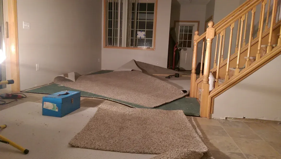 A room with a staircase and a lot of carpet on the floor.