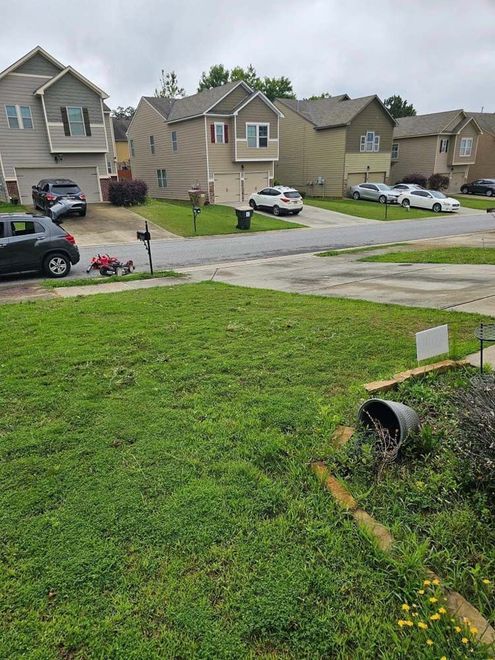 Front Yard Lawn