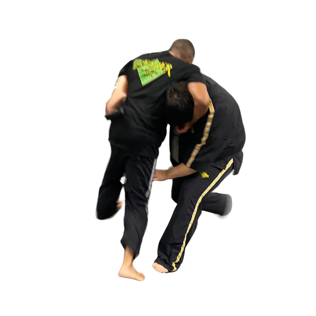 a man disarming another man with a gun in self defense