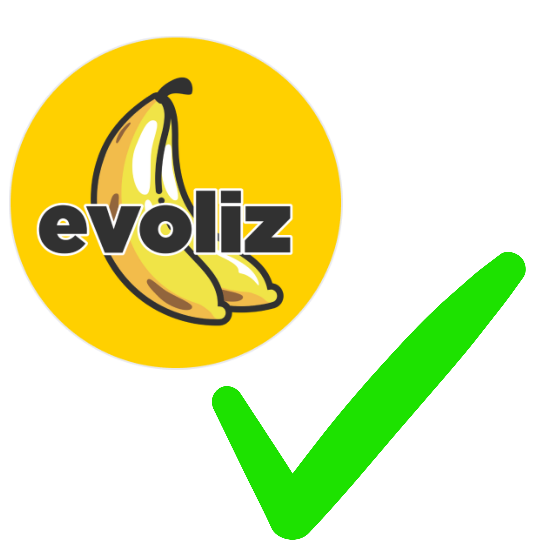 Logo Evoliz avec signe validé