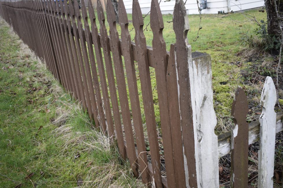 Old Fence