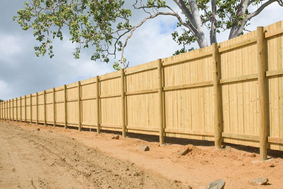 privacy fence options