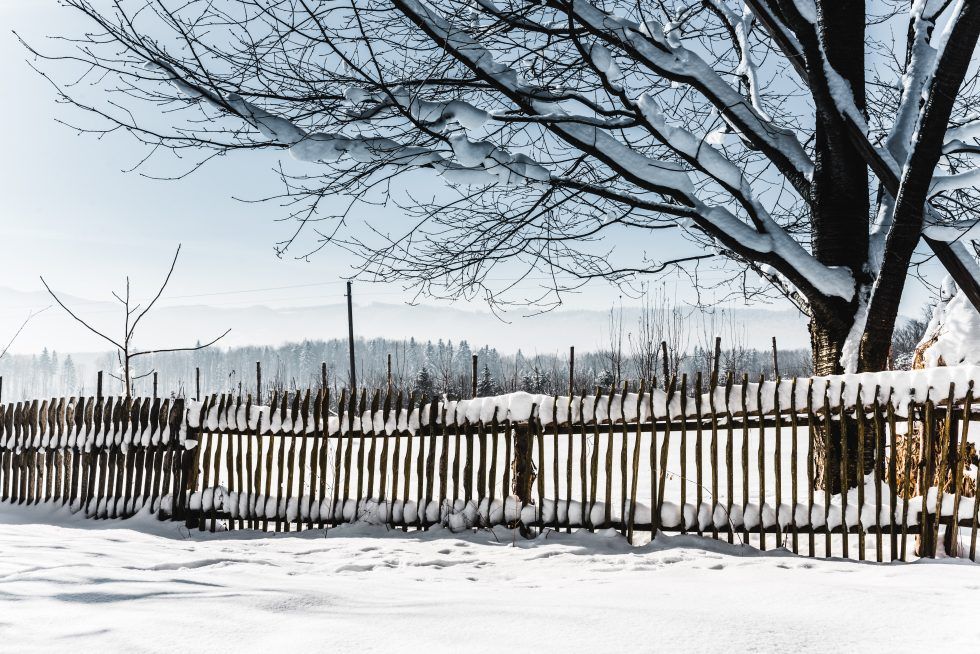 Fence with Snow