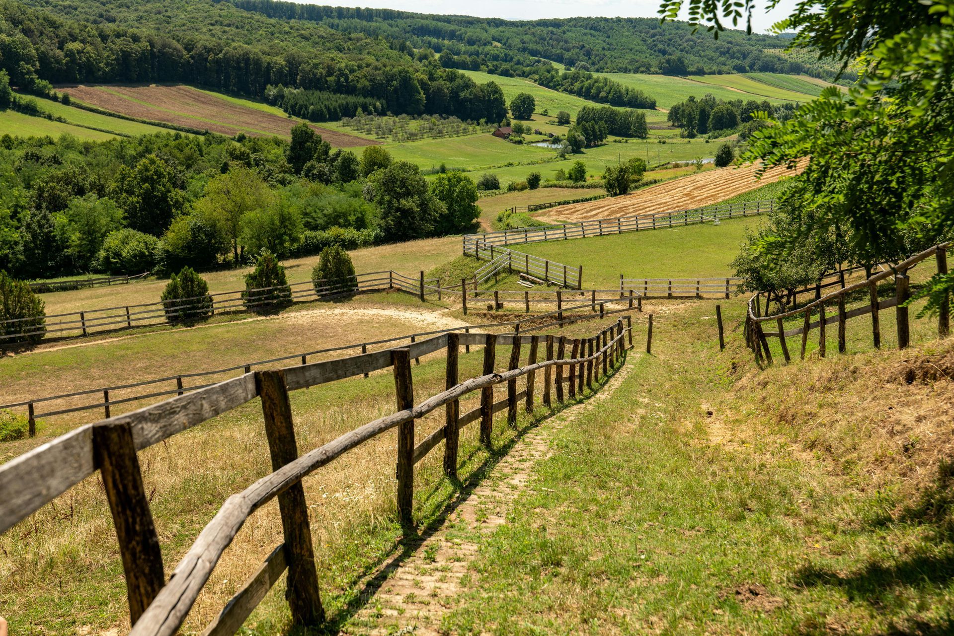 Fence Heights