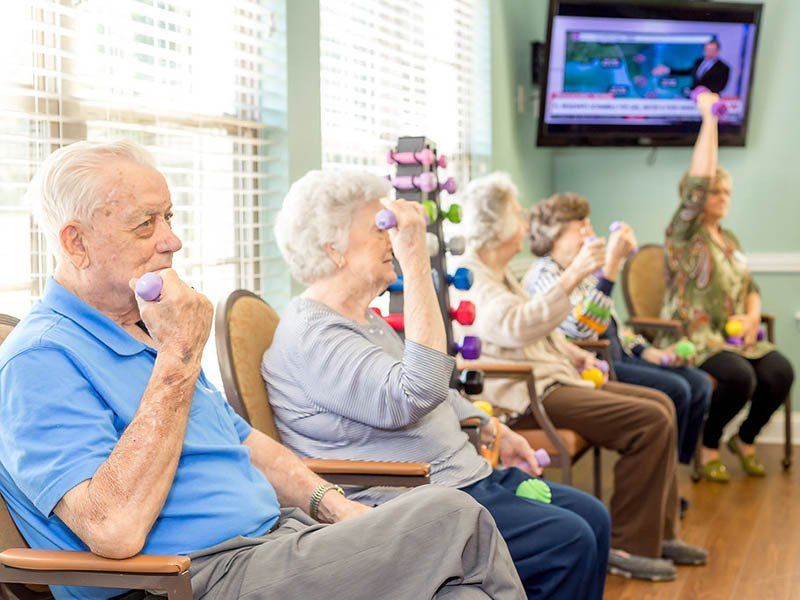 A group of elderly people are sitting in chairs holding dumbbells.