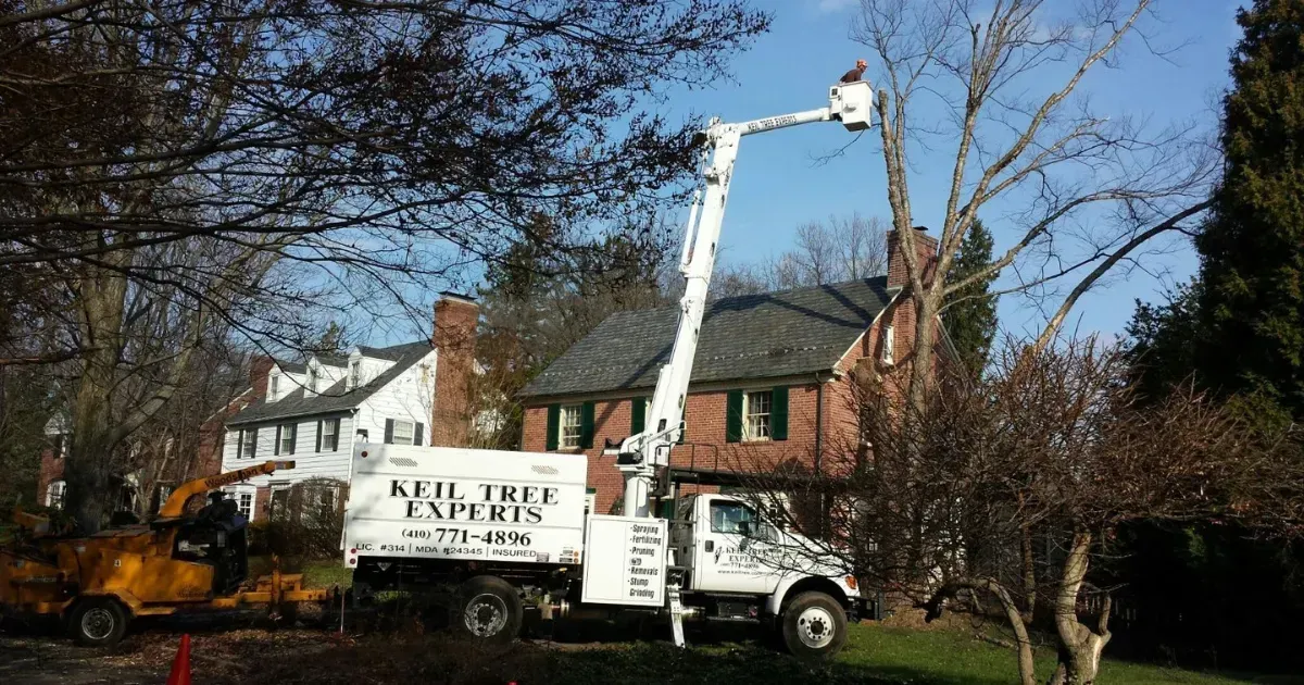 Tree service truck with lift trimming branches near a house.