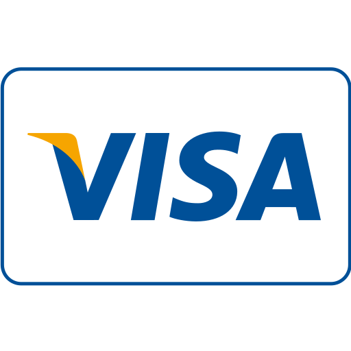 Visa logo with blue wordmark and gold accent inside a rounded blue border