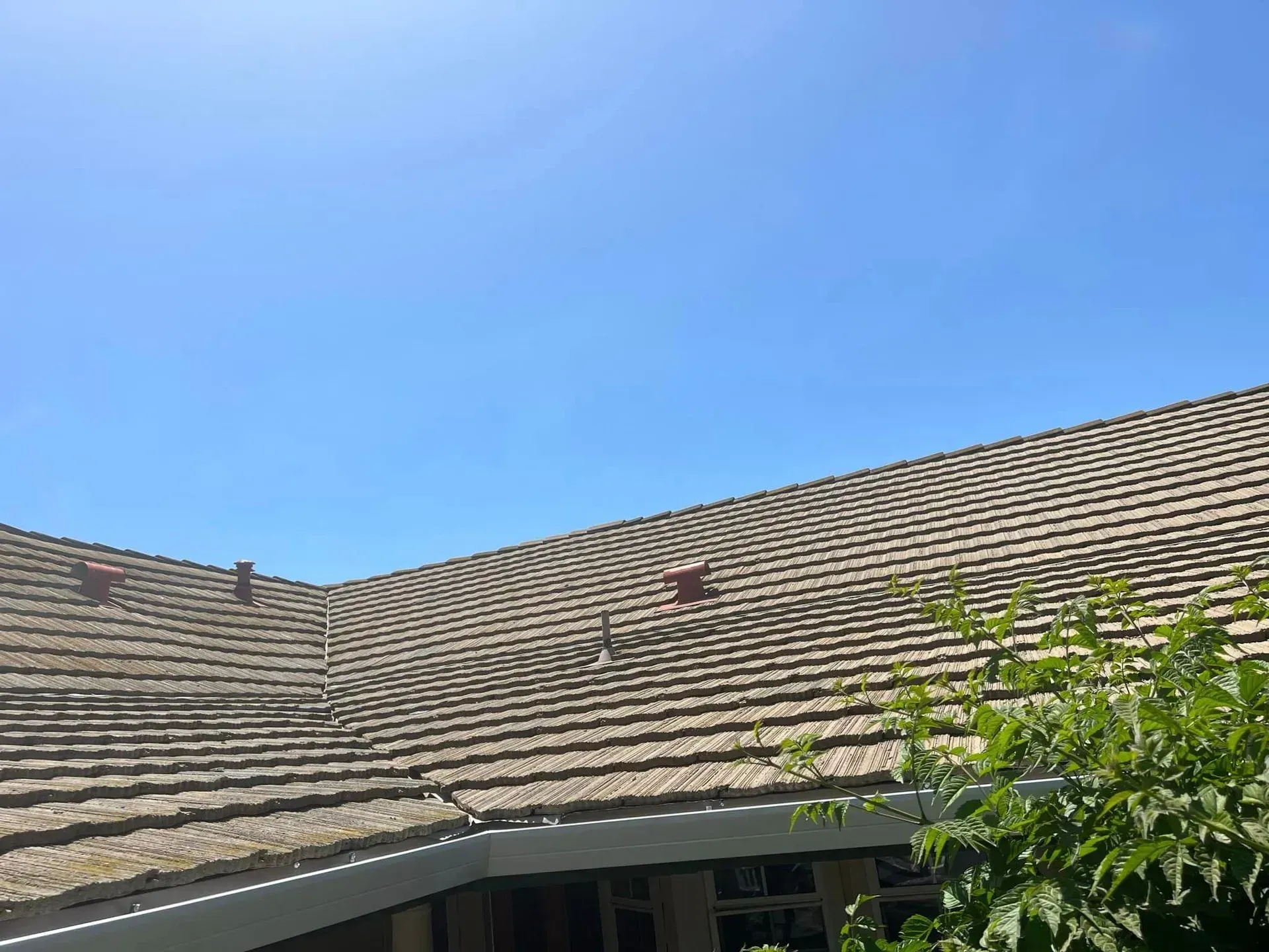 A roof with a blue sky in the background and a tree in the foreground.