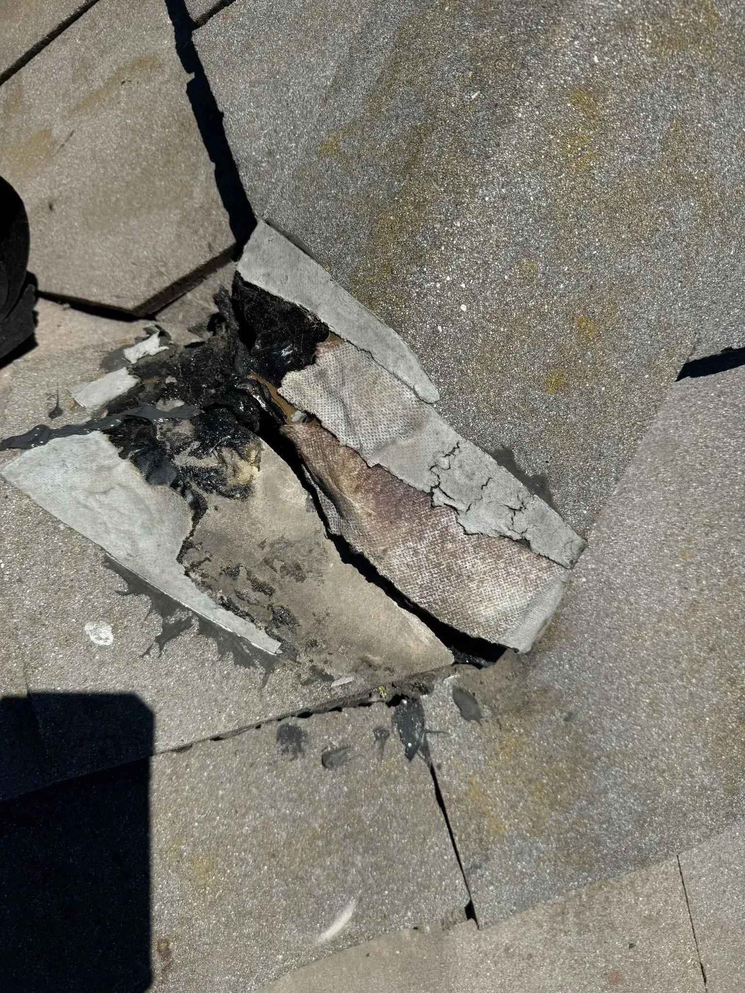 A fish is laying on the ground on a concrete surface.