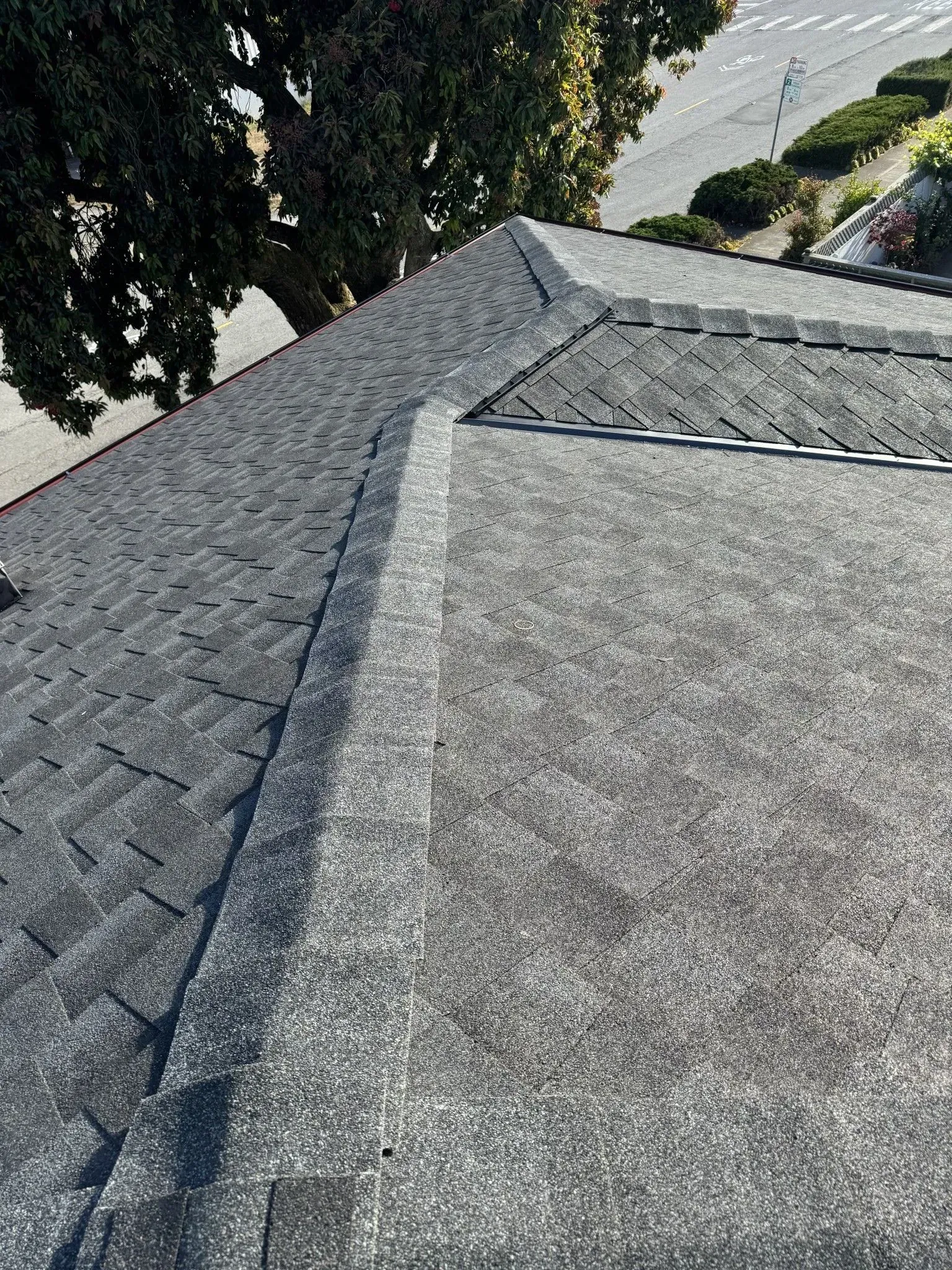 A close up of a roof with a tree in the background.