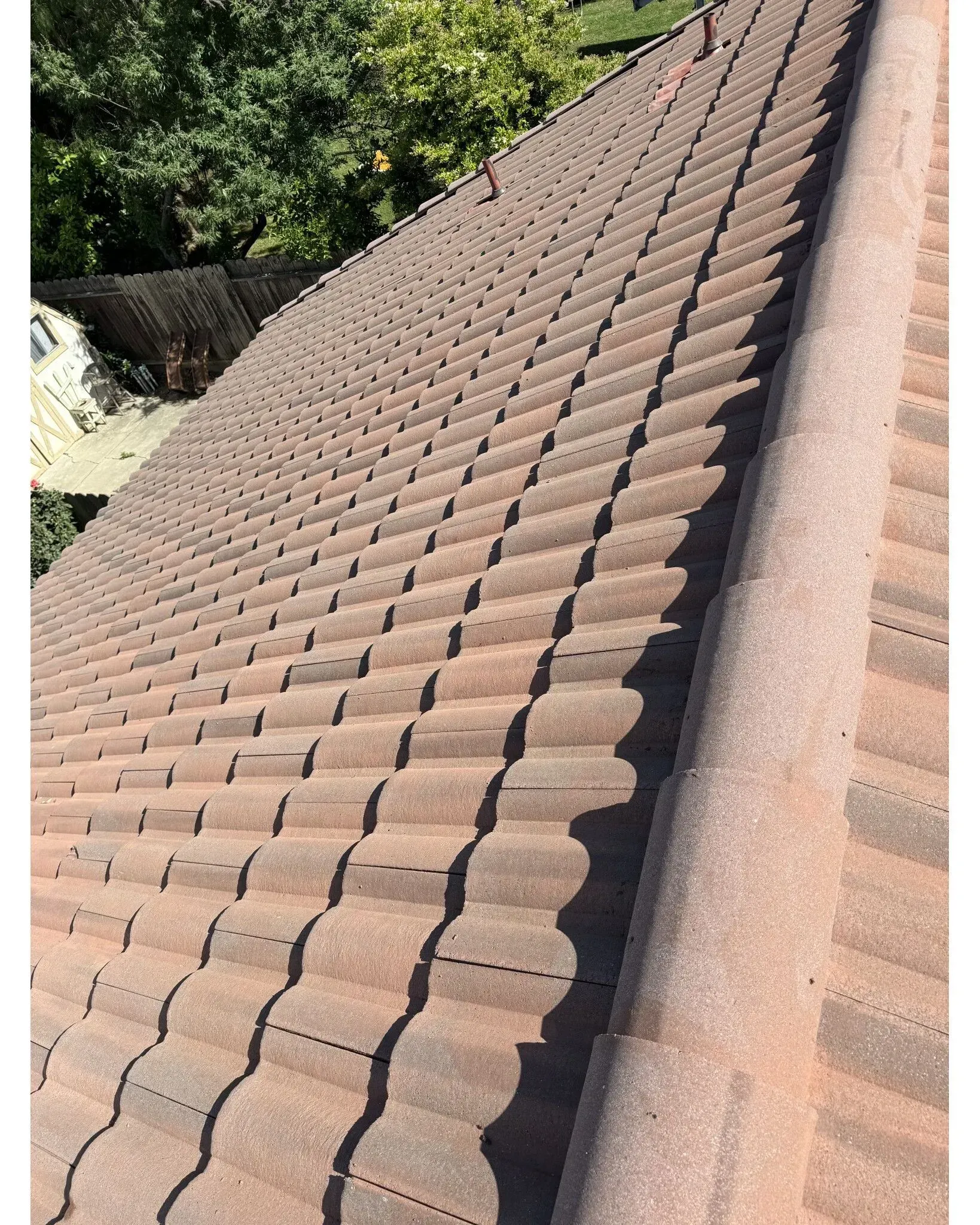 A close up of a tiled roof with trees in the background