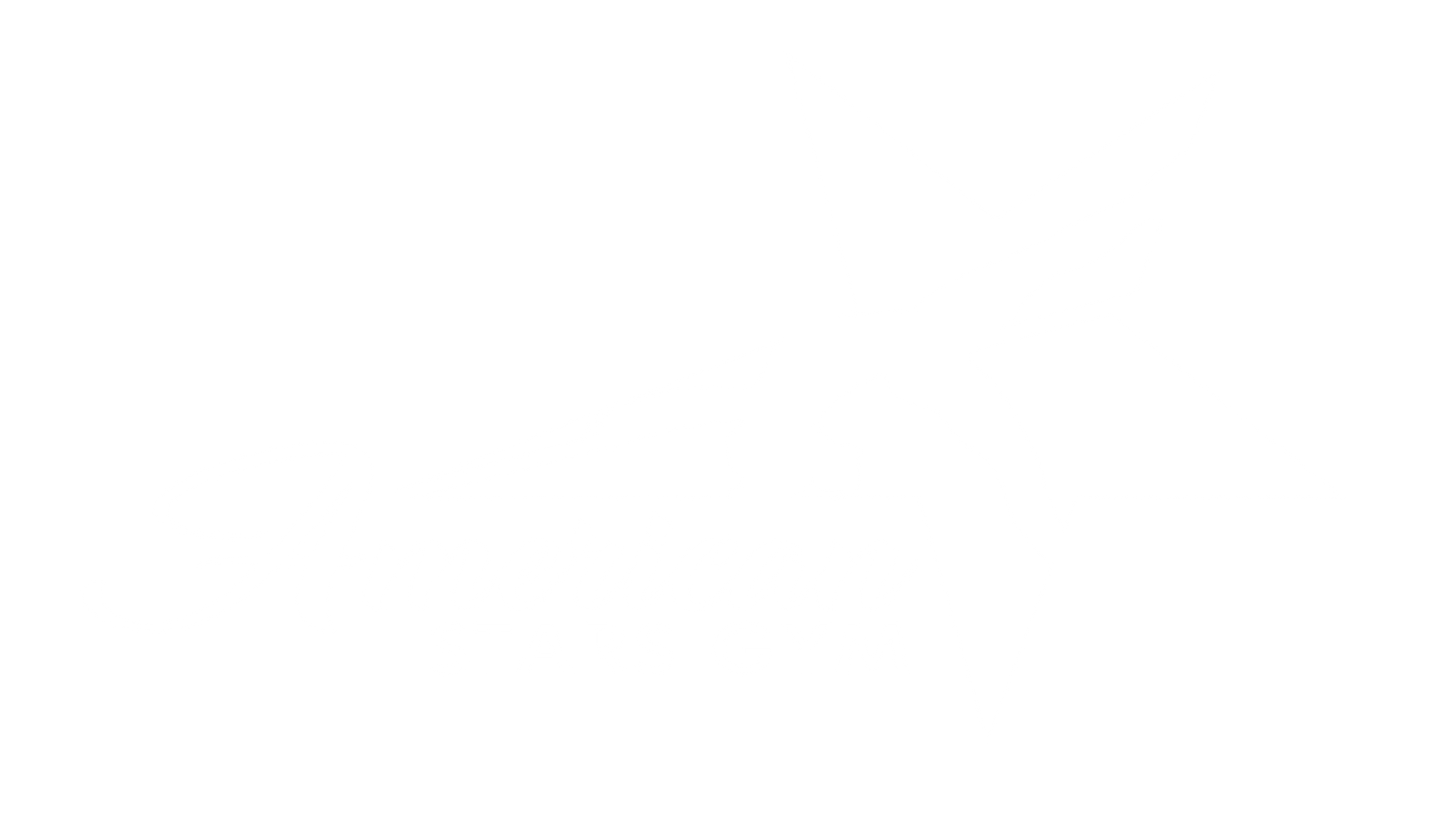 A white background with a few lines on it