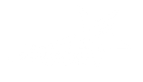 A white background with a few lines on it