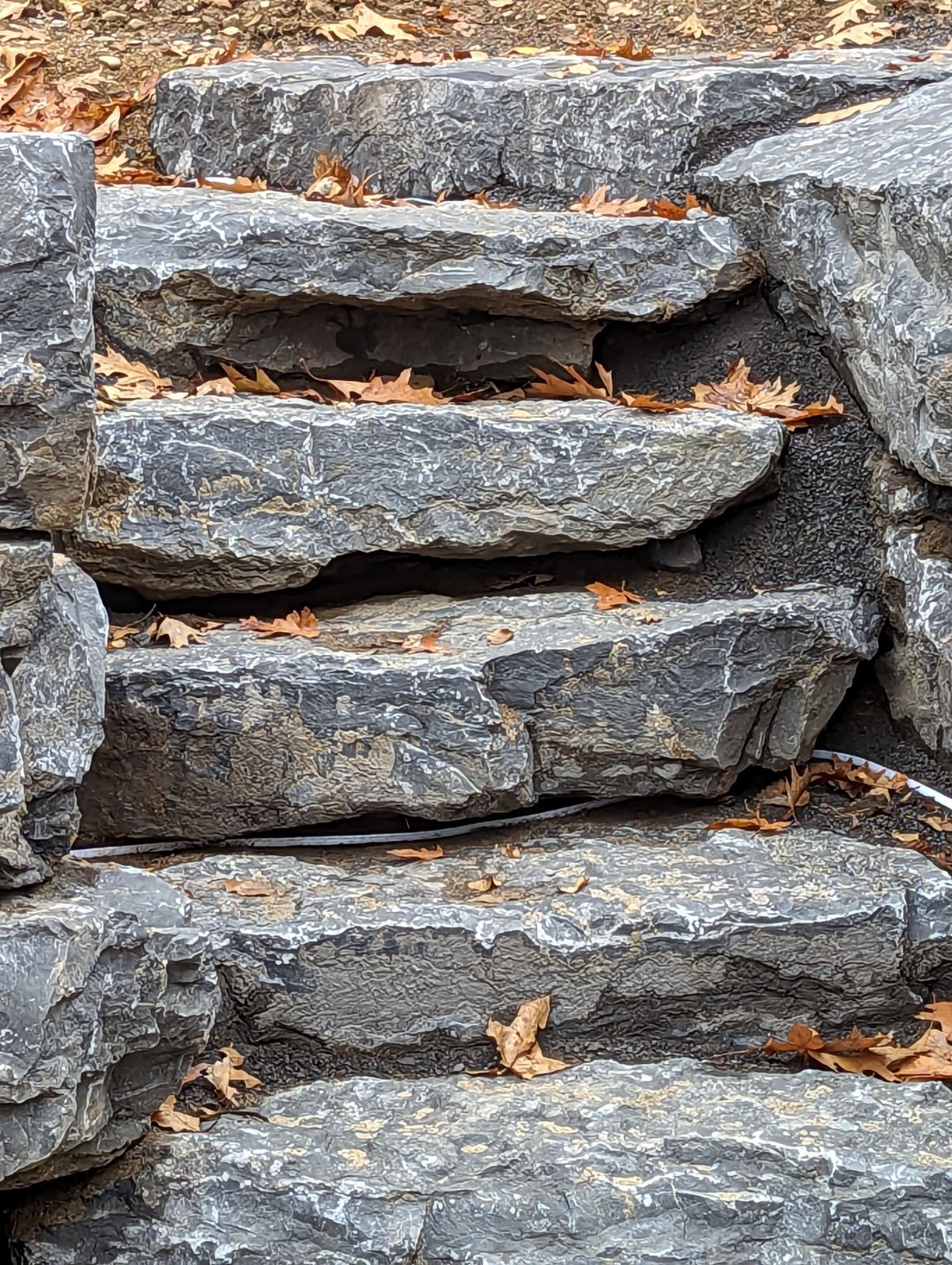Un gros plan d'un tas de rochers avec des feuilles dessus.