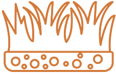 Un dessin au trait d'une pelouse entourée de cercles.