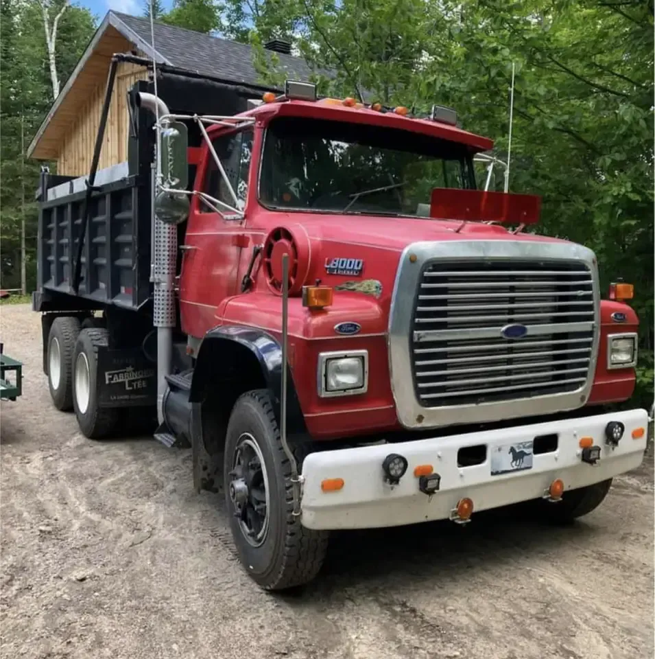 Un camion à benne Ford rouge est garé dans la terre