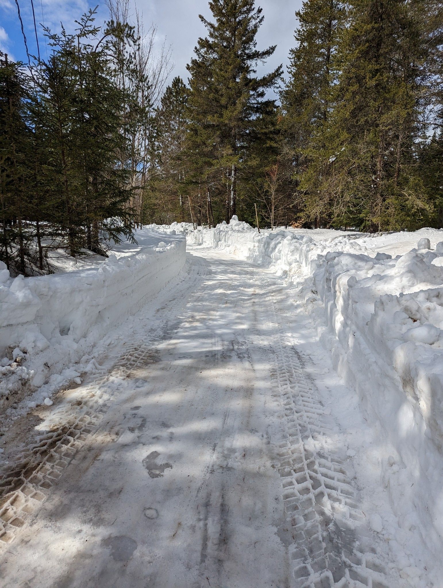 Une route enneigée avec des arbres sur le côté