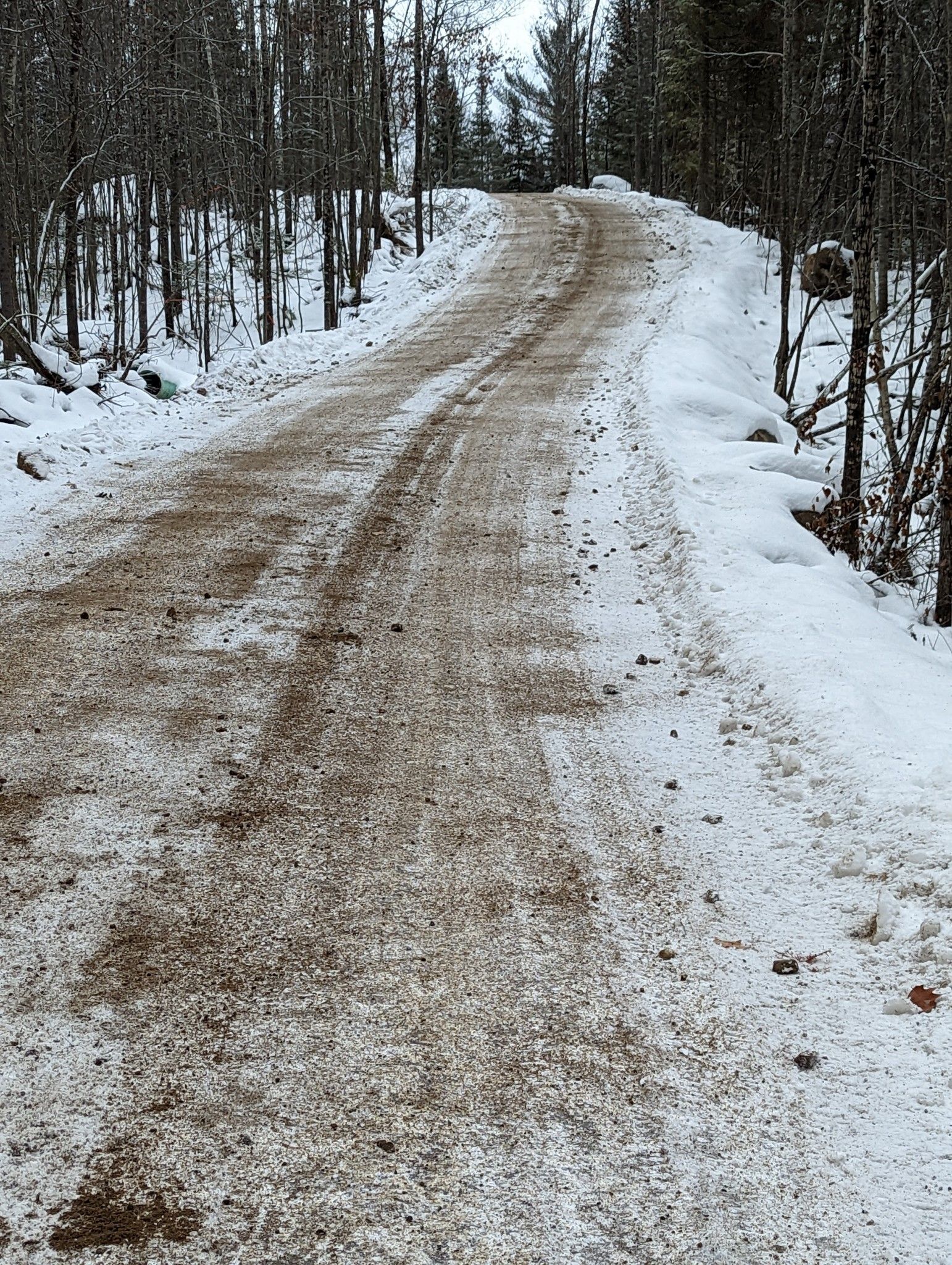 Un chemin de terre dans les bois couverts de neige.