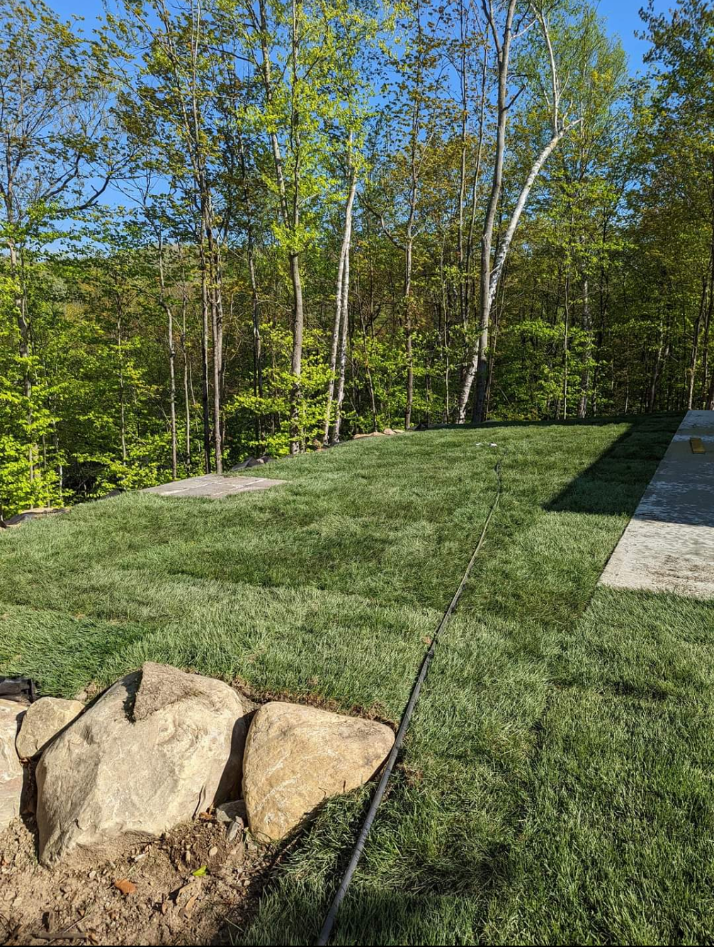 Un gros rocher se trouve au milieu d'un champ verdoyant.