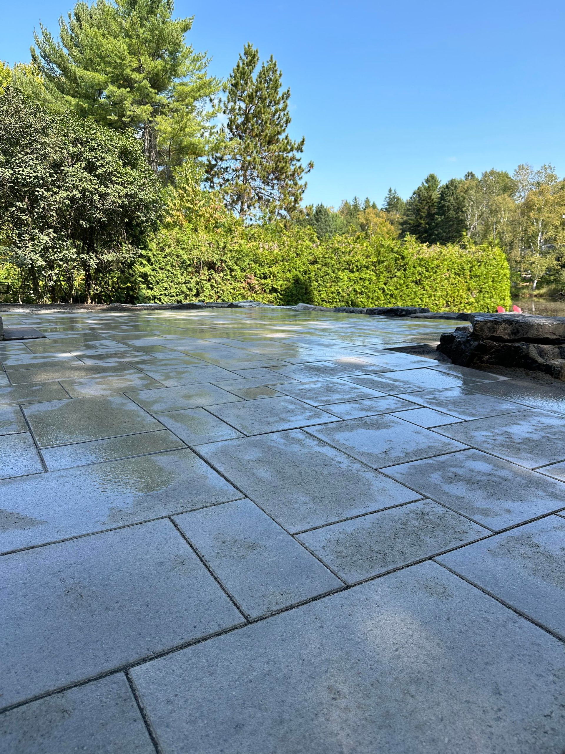 Un patio avec des arbres en arrière-plan et un ciel bleu