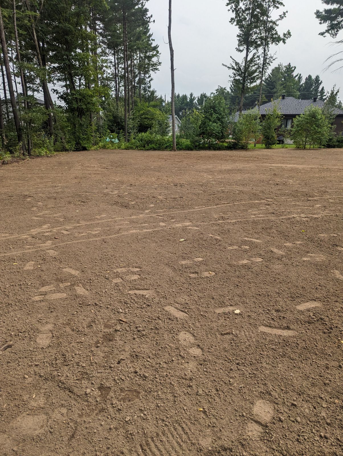 Un champ de terre avec des arbres en arrière-plan et une maison en arrière-plan