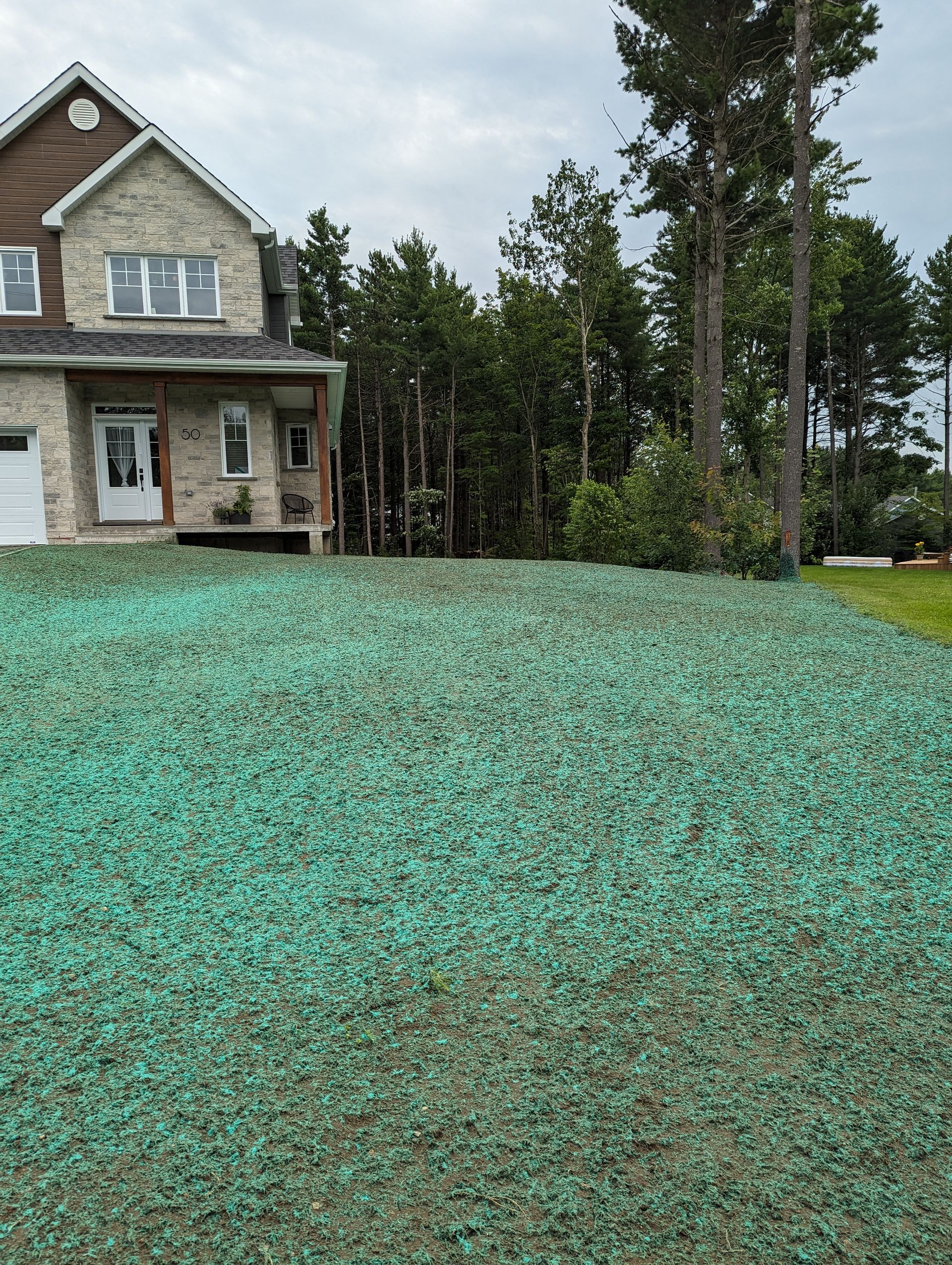 Une grande maison avec beaucoup d'herbe verte devant.