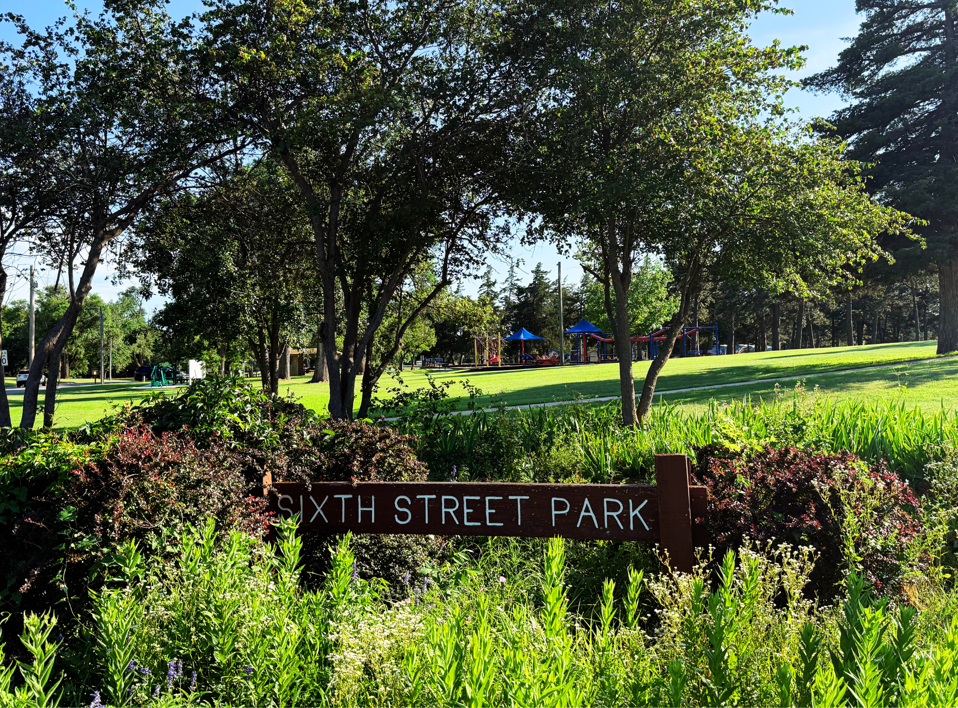 A sign for sixth street park is surrounded by trees and bushes