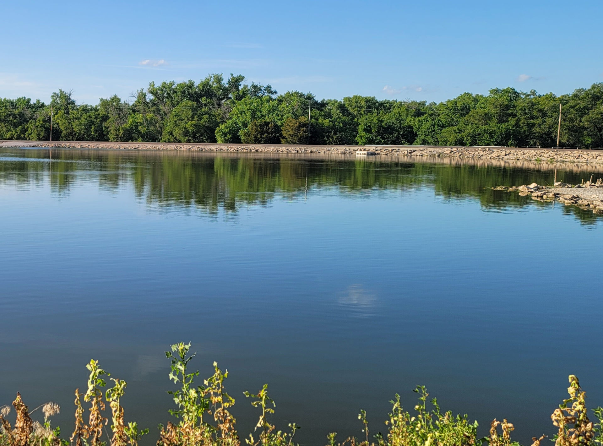 A large body of water surrounded by trees on a sunny day